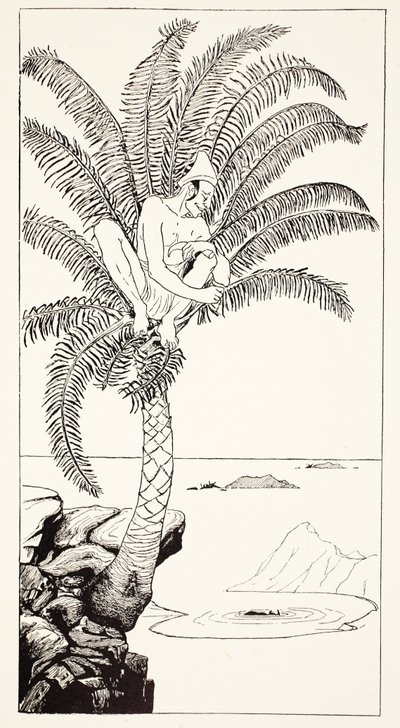 Pestonjee Bomonjee Sitting in His Palm-Tree and Watching the Rhinoceros Storks Bathing, Illustration from 